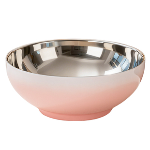 304不锈钢碗家用大碗2025新款个人专用泡面碗漂亮汤面碗餐具套装