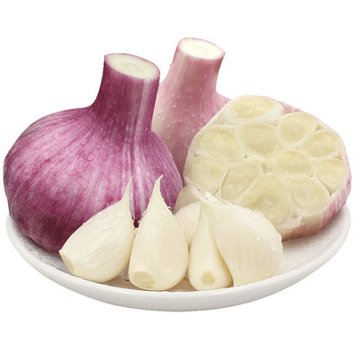 现挖新货新鲜糖醋大蒜5-9斤