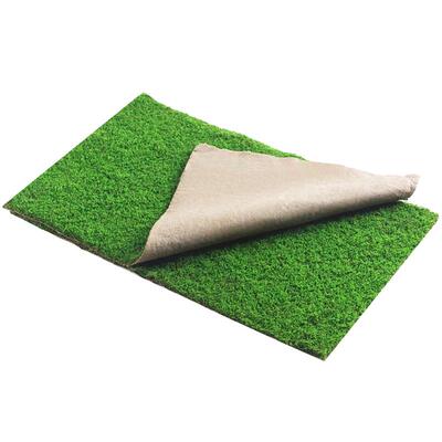 鲜活盆景盆栽苔藓微景观diy绿植
