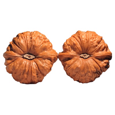 山中玉南瓜墩核桃文玩野生天然小尺寸高端精品真狮子头男女收藏级