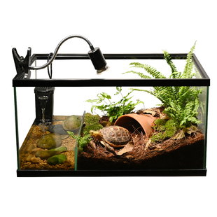 乌龟缸带晒台造景别墅玻璃生态造景水陆缸养黄缘半水龟专用饲养箱