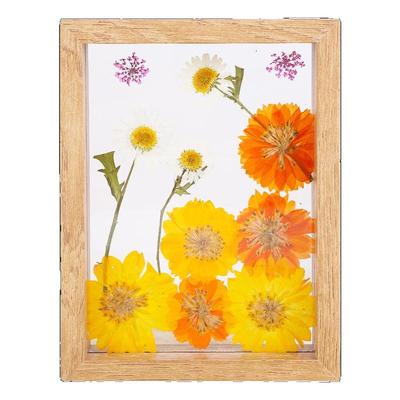 画框透明亚克力手工植物干花