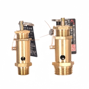 A21W-16T空压机安全阀泄压阀蒸汽锅炉气泵储气罐弹簧式气压安全阀