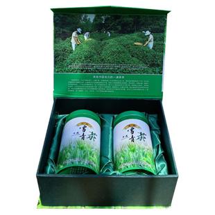 日照雪青绿茶自己喝雨后精品绿色无公害春茶2025新茶山东品牌特产