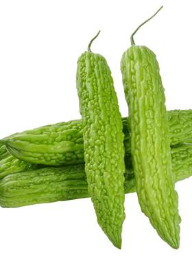 山东寿光绿苦瓜新鲜蔬菜现摘现发