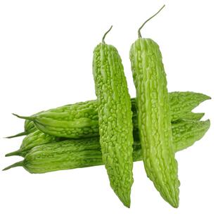 【顺丰包邮】新鲜苦瓜绿苦瓜青嫩微苦榨汁蔬菜现摘先发