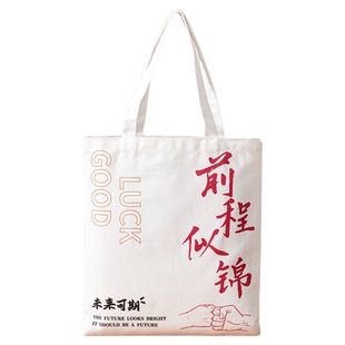 帆布袋学生装书环保袋女手提袋购物袋毕业会议单肩帆布包定制logo