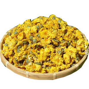 云南天然野生小黄菊花50g搭枸杞桂圆茶冲泡晒干墨江正宗黄菊花茶