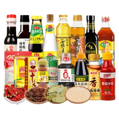 迷你小份调味料组合厨房炒菜海天