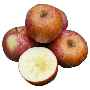 2024云南昭通市丑苹果水果新鲜整箱当季10斤红露富士糖心苹果绍通