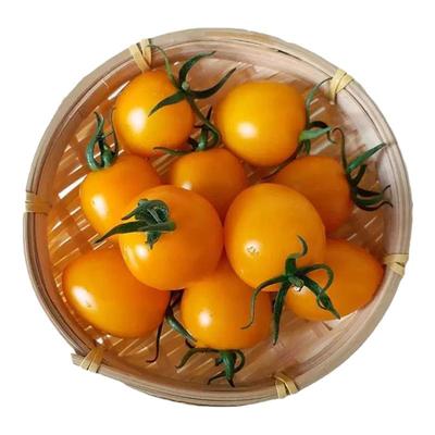 圣女果新鲜当季小番茄