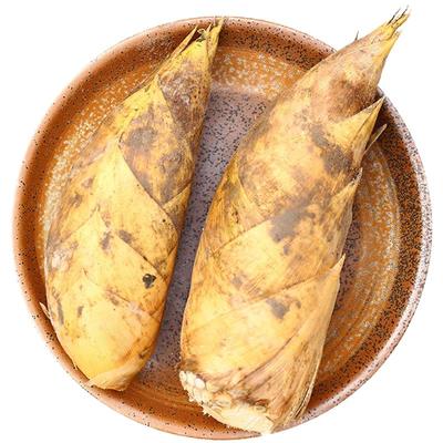 新鲜冬笋现挖浙江临安天目山野生