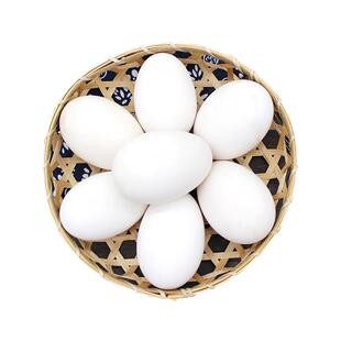 正宗农家土鹅蛋12枚新鲜现捡笨鹅蛋130g超大鹅蛋孕妇宝宝早餐辅食