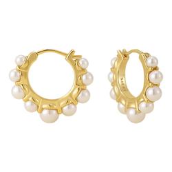 ARSIS纯珍年代豆蔻耳环法式女