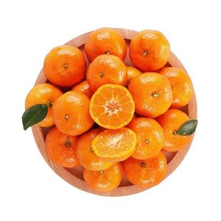 沙糖桔广西蜜桔橘子新鲜当季水果柑橘多汁农家采摘果园砂糖地方