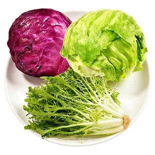 燎原蔬菜沙拉组合新鲜蔬菜苦苣球生菜紫包菜紫甘蓝健身轻食西餐