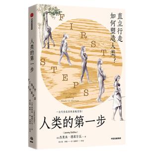 人类的第一步 直立行走如何塑造人类 杰里米德席尔瓦著 附赠折页—学界认可的全新人类演化树 颠覆认知 重新定义人类 中信