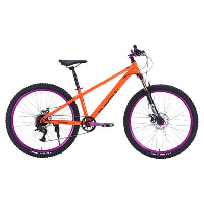 禧布斯油刹青少年变速土坡山地车