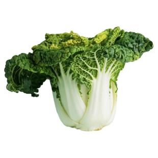 【顺丰包邮】当季新鲜黄心乌塌菜菊花心白菜青菜火锅菜霜冻泡泡菜