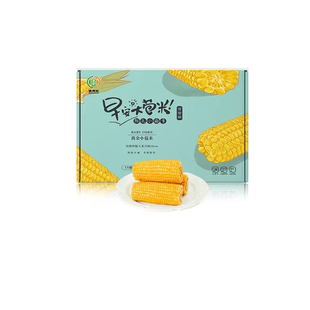 新日期麦秀年早安大苞米黄糯甜玉米金玉棒黄甜糯东北早餐速食玉米