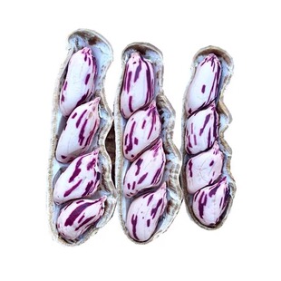 云南去壳花生米2025年新鲜晒干新货七彩五彩花生米奶油花生批发