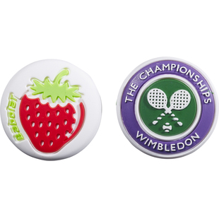 Babolat百宝力网球拍避震器2个装温网减震器圆圈 700122