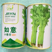 Семена петрушки Ruyi мелкие 100г консервированный желто-зеленый маленький сельдерей