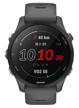 Garmin佳明255/165/265/965手表