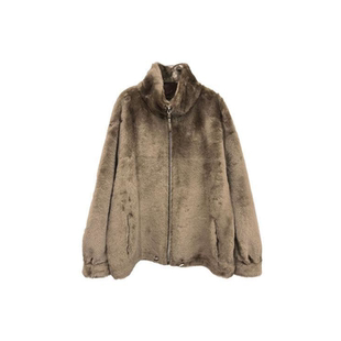 RODERIC WONG 设计师 25秋冬新品 立领拉链皮草外套 SOLSOL