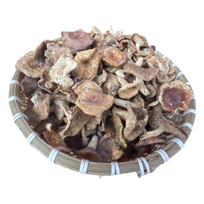 今年新货云南野生蘑菇杂菌白菇杂菌野生菌带脚土特产干货500g包邮