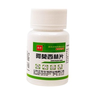 猫咪口炎药牙龈红肿口腔溃疡流口水牙周炎口臭专用阿莫西林消炎药