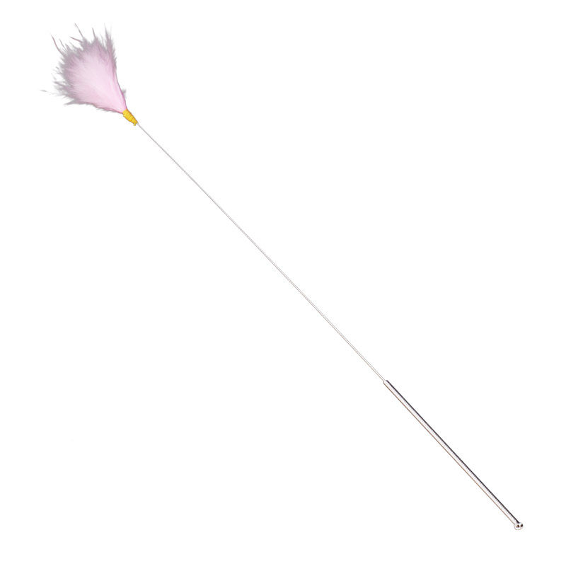 小彩扫脸芙蓉美人spa采耳工具