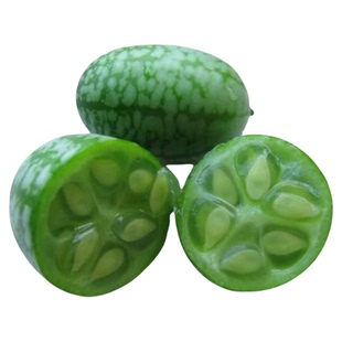 拇指西瓜种子迷你小西瓜种籽四季阳台盆栽水果春季秋小蔬菜种孑