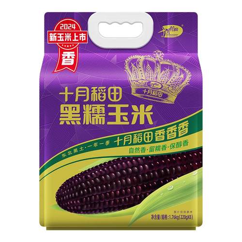十月稻田东北黑玉米苞谷软糯甘甜大棒花青素清香真空新鲜食品早餐