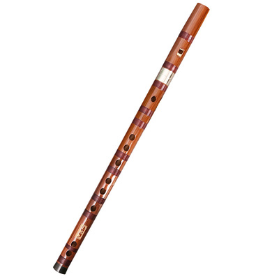 笛子初学成人苦竹专业无膜演奏