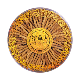 【端午送礼】正宗西藏那曲冬虫夏草礼盒旗舰店20克野生新干虫草