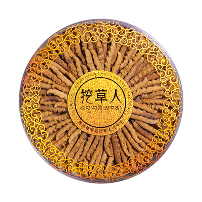 西藏那曲野生冬虫夏草补品礼盒