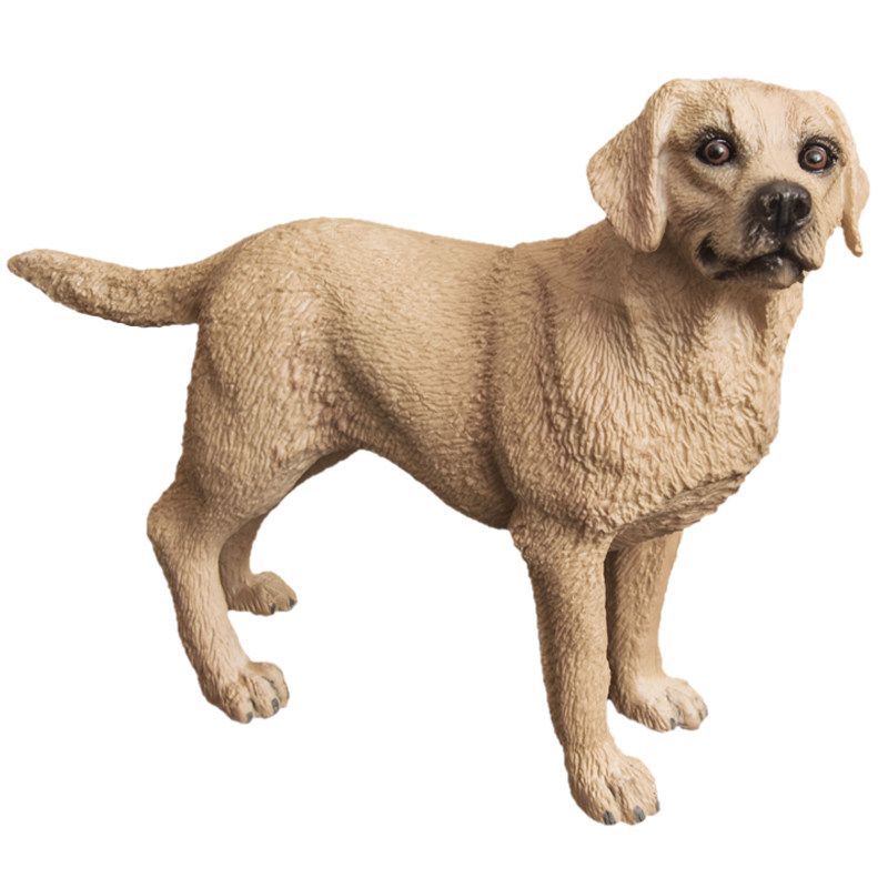 实心模型寻回犬拉布拉多仿真动物