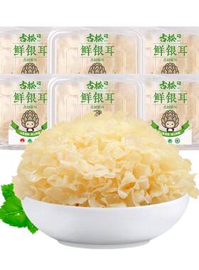 古松银耳6朵盒装胶质满满