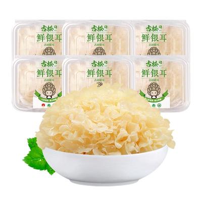 古松银耳6朵盒装胶质满满