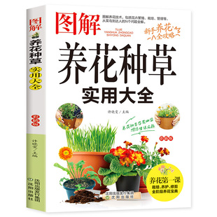 图解养花种草实用大全 图解方法掌握家庭养花百科养花种草常识一本通图解美绘版养花书花卉大全种花大全植物图鉴花卉种植栽培技术