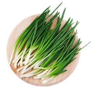 蔬菜种子菜种籽原装四季播原装彩包育种香菜小葱白菜菠菜大全