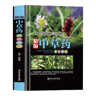 精编中国药典中药原色图谱 中草药图鉴图谱 中国药材图鉴 中医学书籍中药材大全 300余种常用中草药识别应用原色图片 中医学书籍