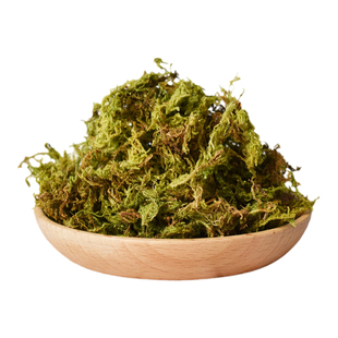 乌龟冬眠干苔藓爬宠专用苔藓冬眠的窝青苔智利水苔椰土椰砖专用土