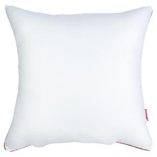 靠背内胆芯靠枕芯抱枕内胆芯沙发抱枕芯40x40方枕芯50x50抱枕内胆