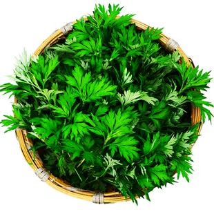 艾草新鲜现摘现发艾米果艾糍粑青团时令野菜清明草粑粑生艾草3斤