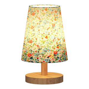 享域 简约暖光装饰氛围台灯E27螺口可换灯泡led喂奶卧室床头夜灯