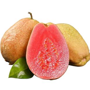 福建软糯红心芭乐水果软心番石榴奶油翻潘蕃鸡屎果新鲜巴乐果