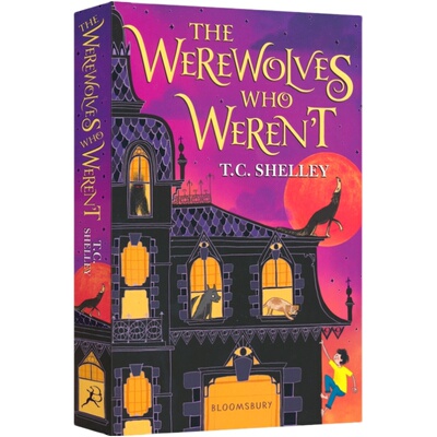 奇幻冒险系列小说英文原版