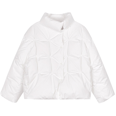 LESS白鸭绒短款羽绒服女拒水立领